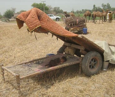 kabar.jpg Hosting at Sudaneseonline.com