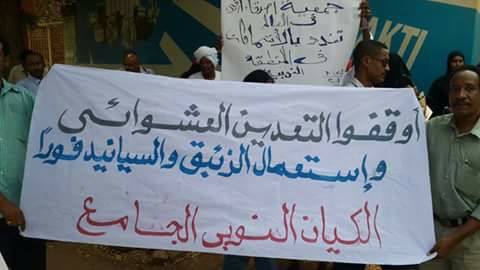 ksudanfi3.jpg Hosting at Sudaneseonline.com