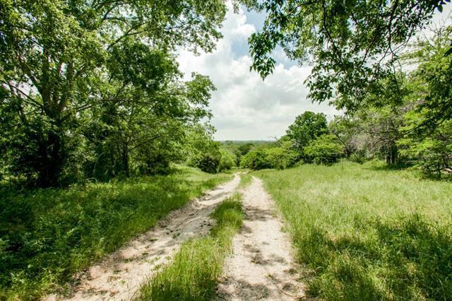 mckinney.jpg Hosting at Sudaneseonline.com