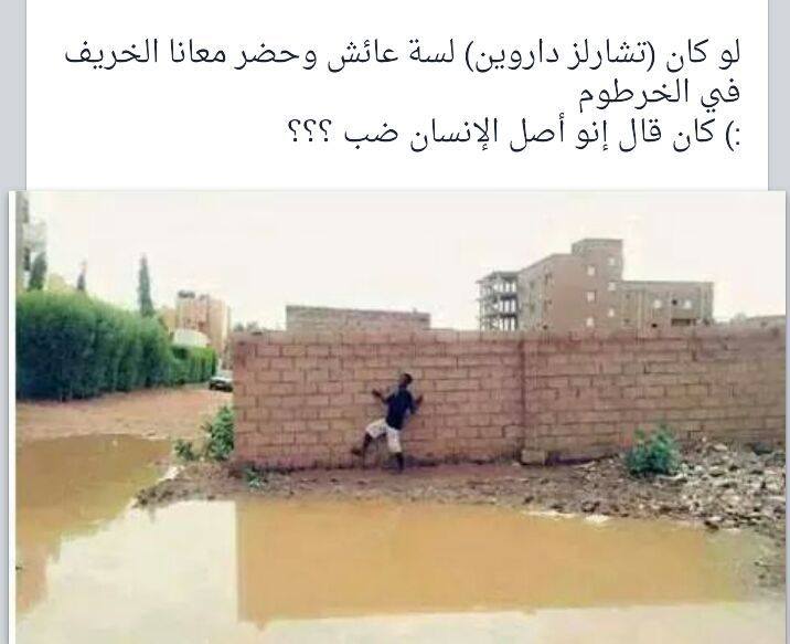 sudansudan1.jpg Hosting at Sudaneseonline.com