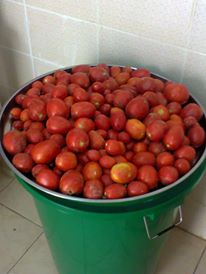 sudansudansudan42.jpg Hosting at Sudaneseonline.com