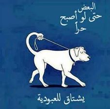 sudansudansudan43.jpg Hosting at Sudaneseonline.com