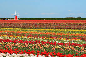 sudansudansudansudan.jpg Hosting at Sudaneseonline.com