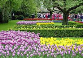 sudansudansudansudan16.jpg Hosting at Sudaneseonline.com