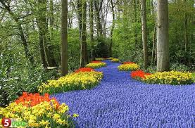 sudansudansudansudan7.jpg Hosting at Sudaneseonline.com