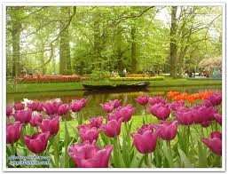 sudansudansudansudansudansudan64.jpg Hosting at Sudaneseonline.com