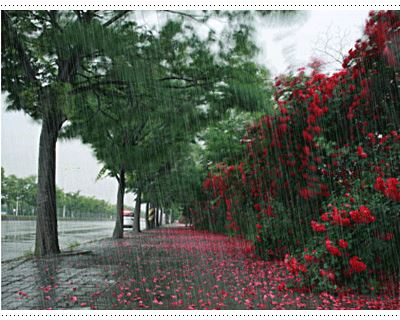 sudansudansudansudansudansudansudan2.jpg Hosting at Sudaneseonline.com