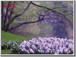 sudansudansudansudansudansudansudan5.jpg Hosting at Sudaneseonline.com