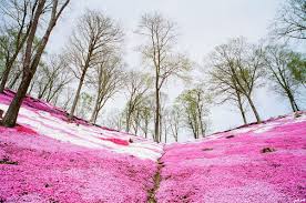 sudansudansudansudansudansudansudan6.jpg Hosting at Sudaneseonline.com