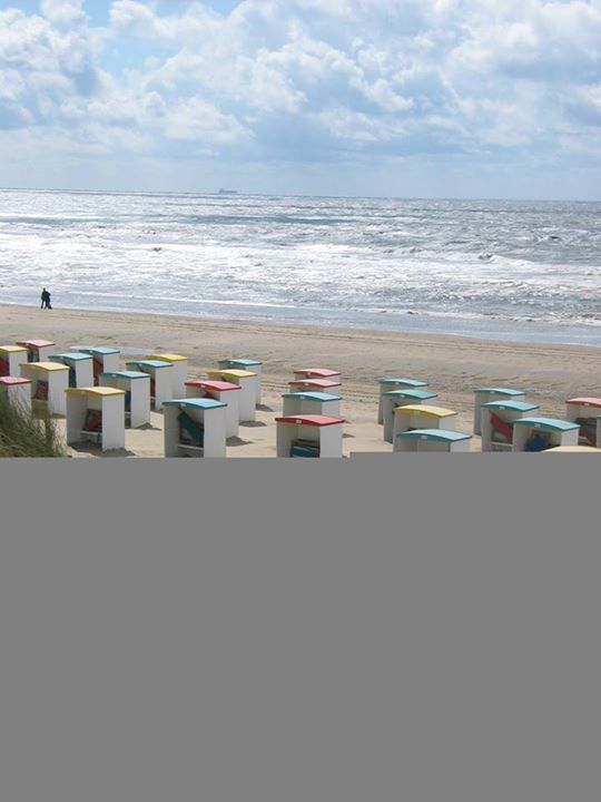 sudansudansudansudansudansudansudansudansudan1.jpg Hosting at Sudaneseonline.com