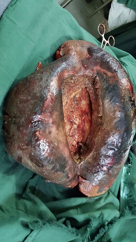 sudansudansudansudansudansudansudansudansudansudansudan31.jpg Hosting at Sudaneseonline.com