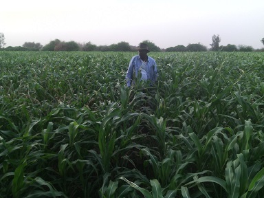 sudansudansudansudansudansudansudansudansudansudansudansudansudansudansudansudansudan070.jpg Hosting at Sudaneseonline.com