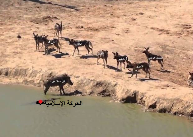 tam.jpg Hosting at Sudaneseonline.com