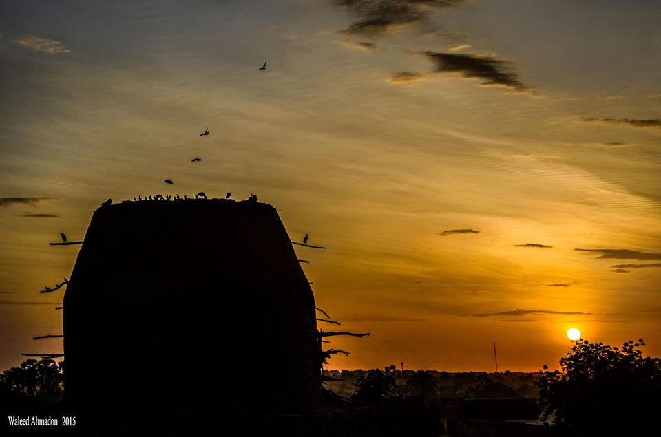 10392582_842123819190055_1612446638998621718_n.jpg Hosting at Sudaneseonline.com