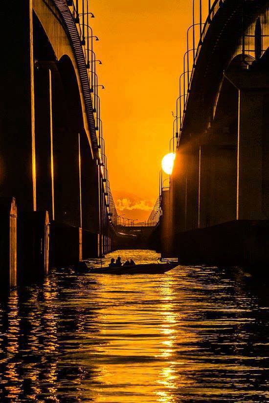 10710917_835365743162028_4344703215419639784_n.jpg Hosting at Sudaneseonline.com