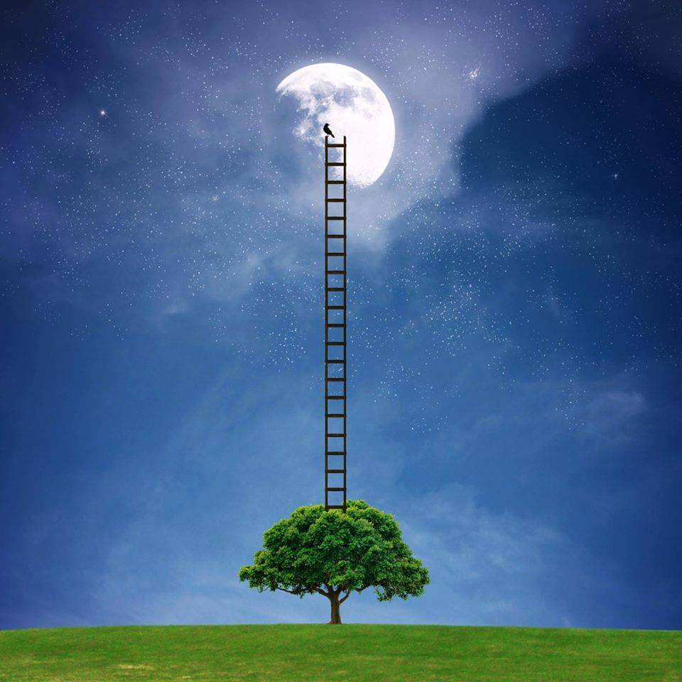 11698575_495205307312579_5102630092666645877_n1.jpg Hosting at Sudaneseonline.com