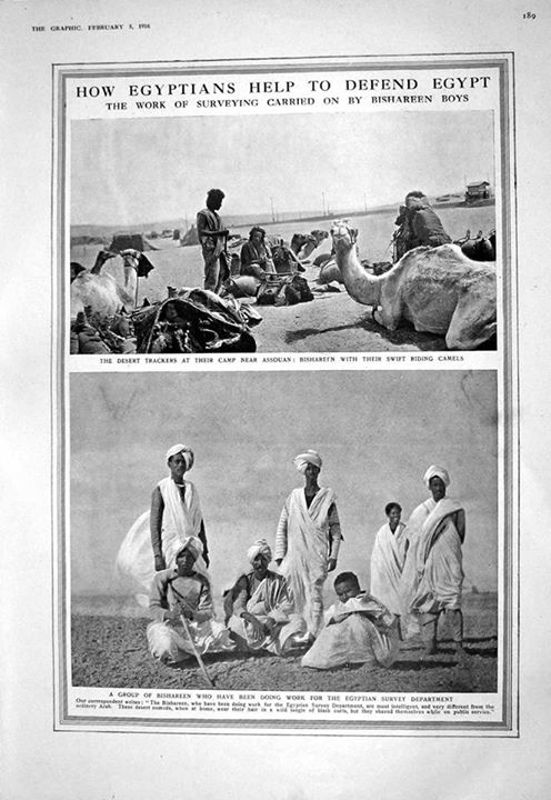 12295274_465452713638854_2051517586304946288_n.jpg Hosting at Sudaneseonline.com