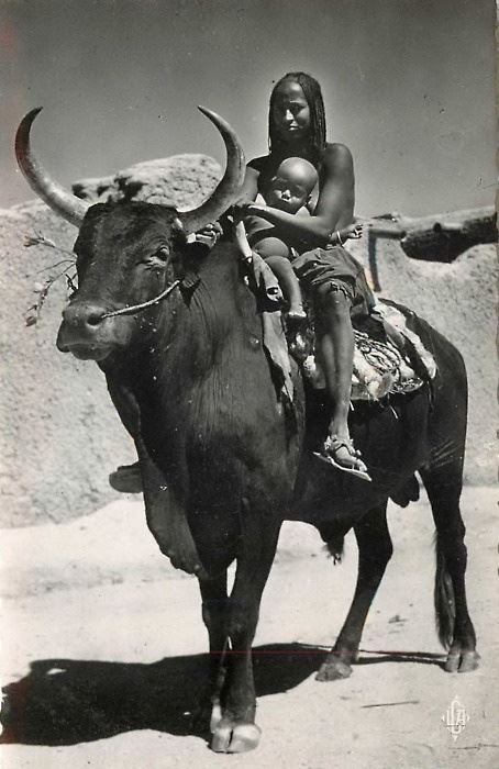 12310634_909829892433839_2910563414478918174_n.jpg Hosting at Sudaneseonline.com