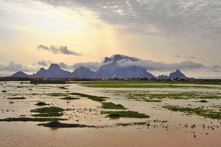 12507623_1250727264944250_935146243636757518_n.jpg Hosting at Sudaneseonline.com