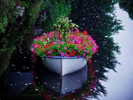 12509532_976009395767953_2705006190865298495_n.jpg Hosting at Sudaneseonline.com