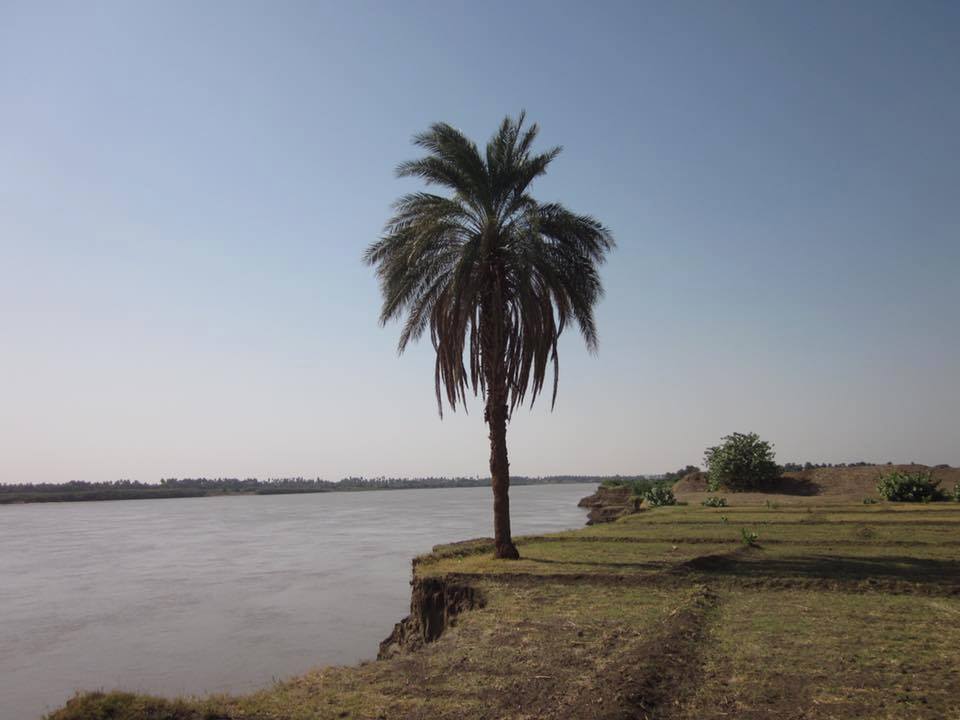 12510252_10207525134063186_4811609490179591251_n.jpg Hosting at Sudaneseonline.com