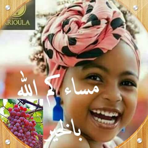 12572990_1064361123613904_1559916093546281442_n.jpg Hosting at Sudaneseonline.com