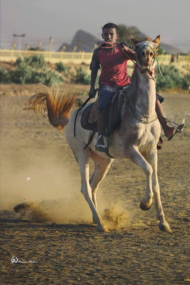 12729006_1270391396311170_6317943700772165971_n.jpg Hosting at Sudaneseonline.com