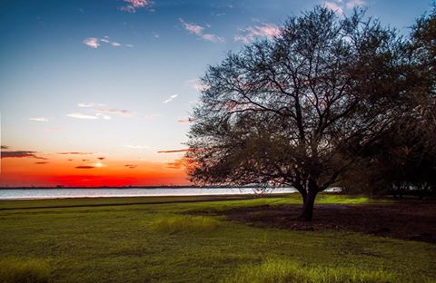 12800206_472000556342587_4478114514047648558_n.jpg Hosting at Sudaneseonline.com