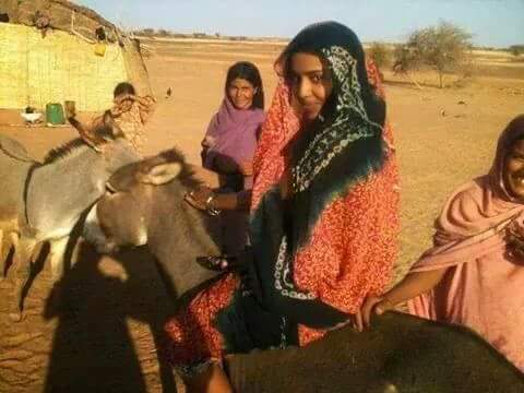 12801369_1281805675169742_6811213962328571299_n.jpg Hosting at Sudaneseonline.com