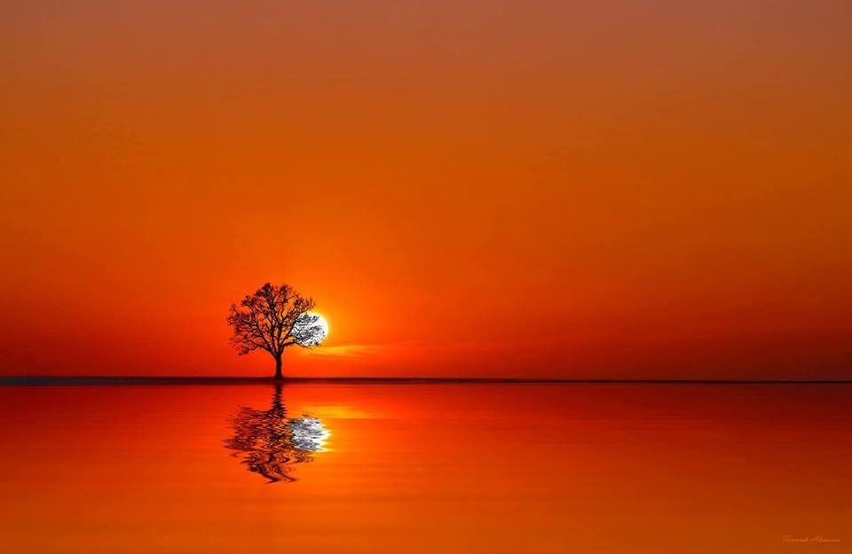 1463918_690924104272860_2117631147_n.jpg Hosting at Sudaneseonline.com