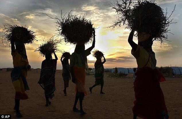 1656314_10204288933160280_5399524576329642262_n.jpg Hosting at Sudaneseonline.com