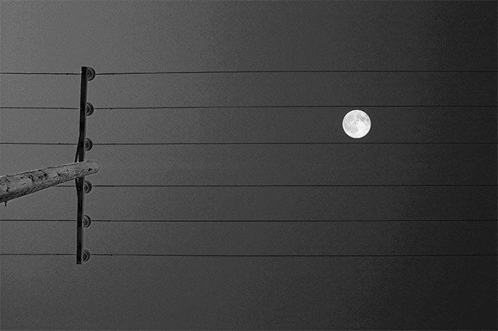 1779271_478274392339004_1493043463231104094_n.jpg Hosting at Sudaneseonline.com