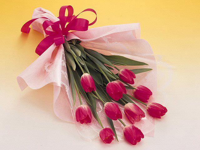 217891_406114142792409_861662020_n1.jpg Hosting at Sudaneseonline.com