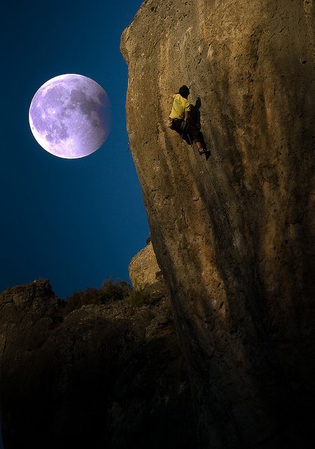 376724_463834126981860_1421705992_n.jpg Hosting at Sudaneseonline.com