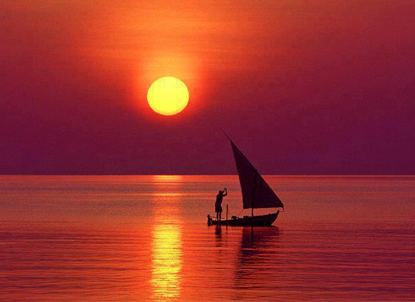 428884_447304185301521_2065561075_n.jpg Hosting at Sudaneseonline.com