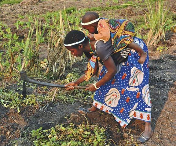 42f8331d-e020-4022-8f8e-d859f4011028.jpg Hosting at Sudaneseonline.com