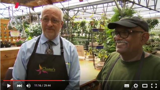 Proffessor.JPG Hosting at Sudaneseonline.com