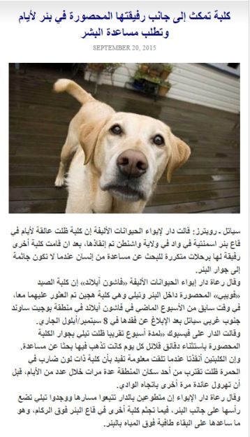 Wowsudan.jpg Hosting at Sudaneseonline.com