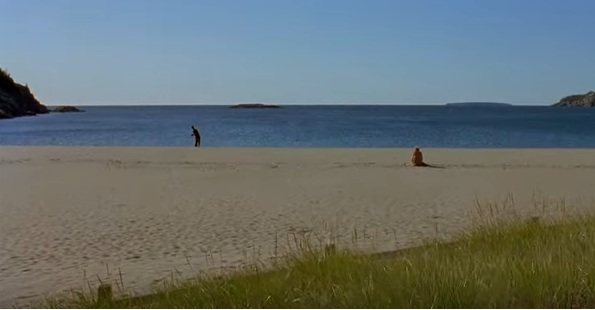 cider.jpg Hosting at Sudaneseonline.com