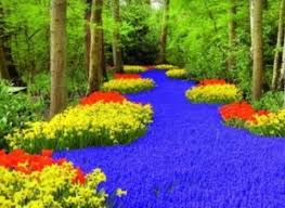 images94.jpg Hosting at Sudaneseonline.com