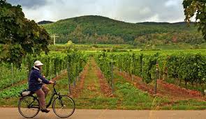 imagessudan2sudan4.jpg Hosting at Sudaneseonline.com