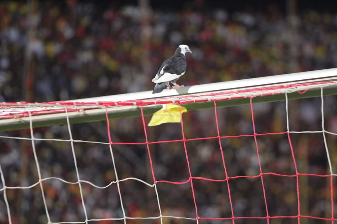 sudansudansudansudansudan8.jpg Hosting at Sudaneseonline.com