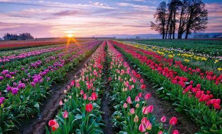 sudansudansudansudansudansudansudansudansudansudansudansudansudansudansudansudansudansudansudansudansudan1.jpg Hosting at Sudaneseonline.com