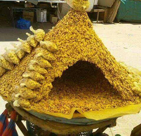 sudansudansudansudansudansudansudansudansudansudansudansudansudansudansudansudansudansudansudansudansudansudansudansudansudansudansudansudansudansudansudansudansudansudan1.jpg Hosting at Sudaneseonline.com